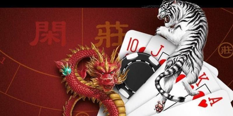 rồng hổ Hướng dẫn chơi tựa game Rồng hổ cho newbie