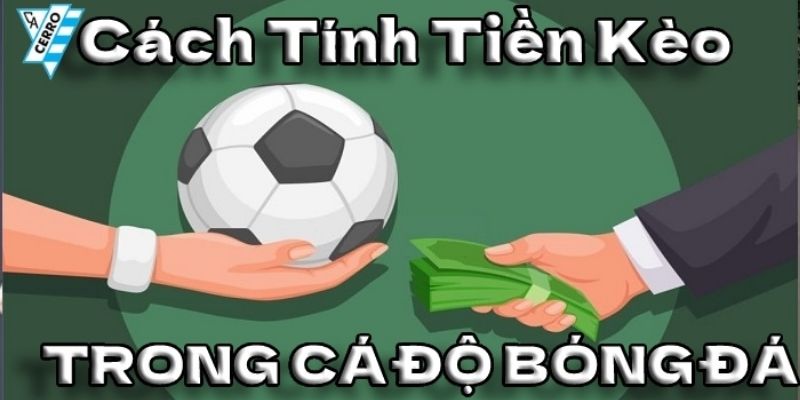 99OK - Hướng Dẫn Cách Tính Tiền Cá Độ Bóng Đá Chuẩn Xác 3 Hướng dẫn bạn cách tính tiền thắng cược dễ hiểu nhất